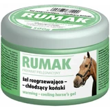 Rumak Heiz-Kühl-Gel 500 g