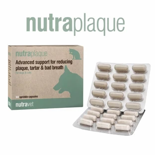 Nutraplaque Supplément pour chiens et chats - 60 gélules