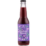 Haskap Bloom - Apple and Siberian Cranberry Juice 330ml ECO, Aronia
