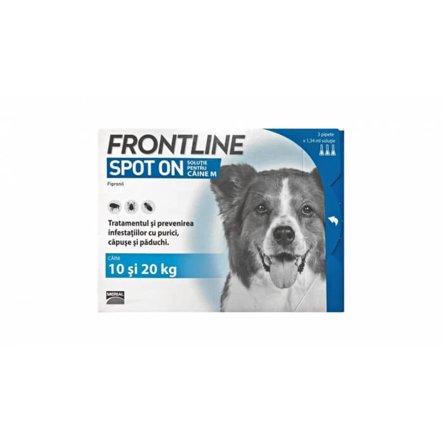 Frontline Spot On Caine M (10-20 kg) - 1 antiparasitäre Pipette (Fipronil)