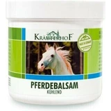 Krauterhof Pferdebalsam for muscle and joint pain 100ml