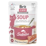 Salmon soup for cats, 75 g, Brit