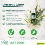 Boiron Stodal-Pflanzen, Sirup, 150 ml