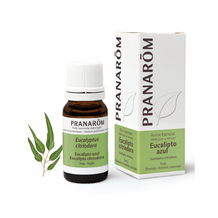 Pranarom Ätherisches Öl Eukalyptus Citriodora, Blauer Eukalyptus 10 ml