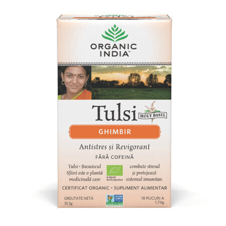 Tulsi-Ingwer-Tee, 18 Päckchen, Bio Indien