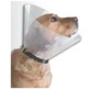 Buster Ontwerp Elizabethaanse Bouw Ketting 15Cm, 10st