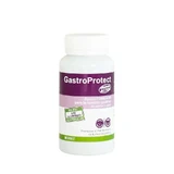 Stangest Gastroprotect, 30 tablets