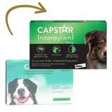 Capstar 57 Mg Hond 11-60Kg, 6 tabletten