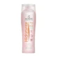 Artero Champú Hidratante 250Ml