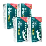 Hyaloral Gel für Welpen, Packung 4 x 50 ml