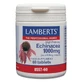 Lamberts Echinacea , 60 tabletten