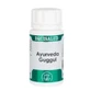 Equisalud Holofit Ayurveda Guggul 50 Kapseln