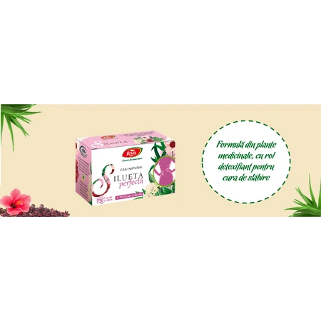 Silueta perfectǎ 1 Tea, purification and drainage M123, 20 sachets, Fares
