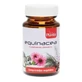 Artesania Echinacea 50 tabletten van Master Herbarium