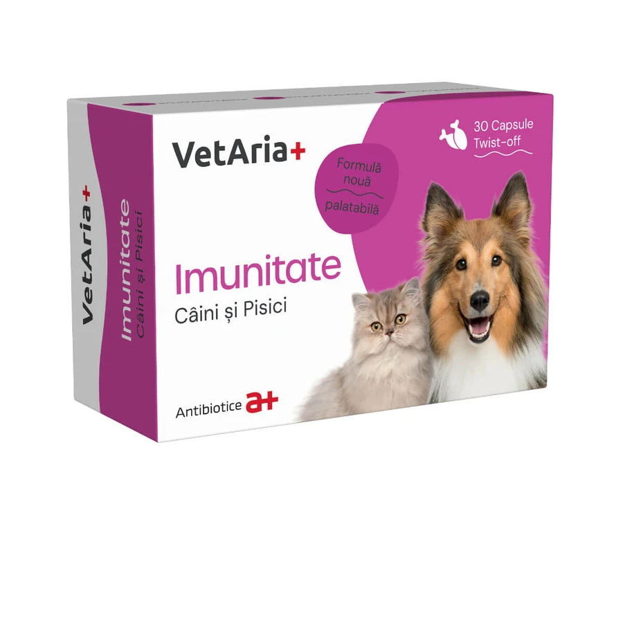 VETARIA+ Immunity, XS-XL, Nahrungsergänzungsmittel für das Immunsystem von Hunden und Katzen, Huhn, Box, 30 Kapseln