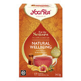 Natürliches Wohlbefinden für die Sinne Bio-Tee mit ätherischen Ölen, 17 Beutel, Yogi Tea