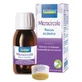 Ruscus aculeatus extracto hidroalcohólico 60 ml int