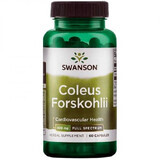 Coleus Forskohlii, 60 Kapseln, Swanson Health USA