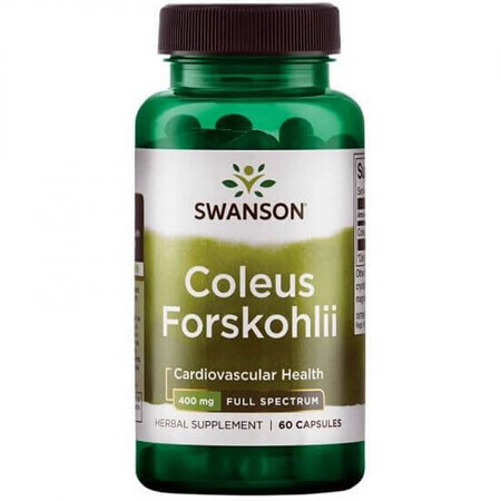 Coleus Forskohlii, 60 capsule, Swanson Health USA