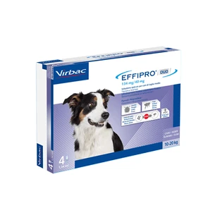 Effipro duo*4pip 10-20kg Hunde