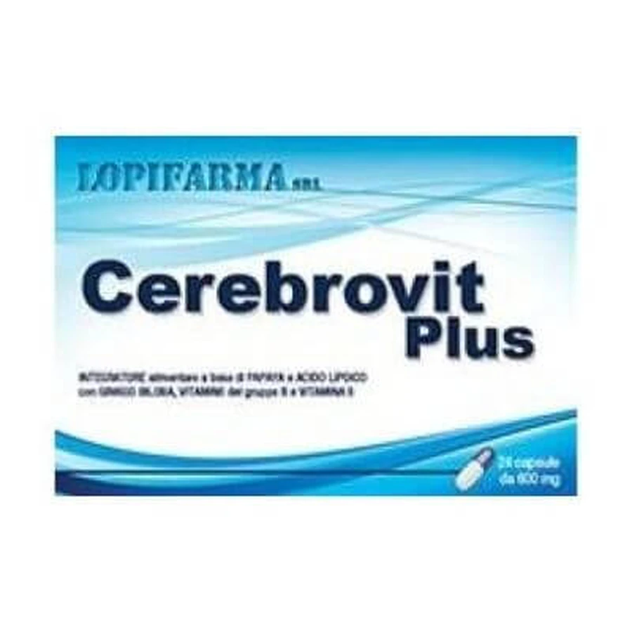 Cerebrovit plus 24 Kapseln