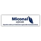 Miconal Nagellackmykose Behandlung 8 ml