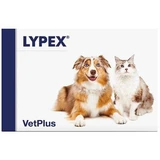 Lypex 60 Kapseln