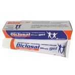 Diclosal Gel, 50 mg/g, 45 g, Slavia Pharm 
