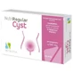 Nutriregular cyst 20 capsules 500 mg