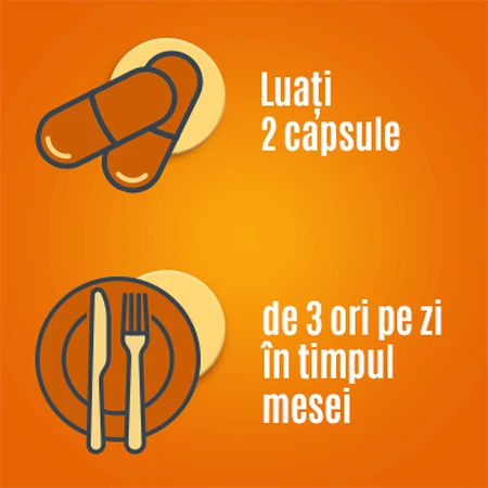 Essentiale Forte 300 mg, 50 capsules, Sanofi