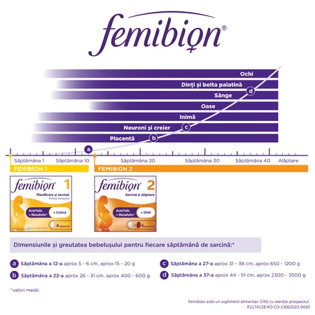 Femibion 1 - Planning en zwangerschap, 28 filmomhulde tabletten, Dr. Reddys