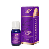 Gândire clară, amestec de uleiuri esentiale, 10 ml, Bionovativ