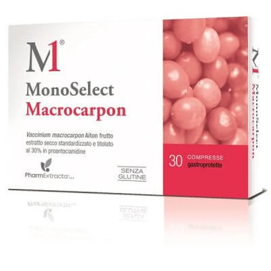 Monoselect macrocarpon 30 gastroprotect Tabletten