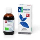 Moedertinctuur van mariadistel 50 ml Bio