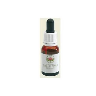 Spinifex australisch 15 ml Tropfen