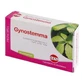 Gynostemma droog extract 60 tabletten