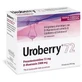 Uroberry 72 10 Beutel à 3500 mg
