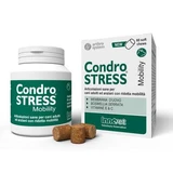 Chondrostress mobility 60 soft chews