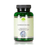 Ginkgo Biloba 400mg, 120 capsule, G&G