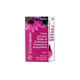 Echinacea powerful fluid extract 50 ml