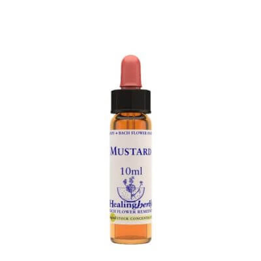 Mosterd essence 10 ml 1 stuk