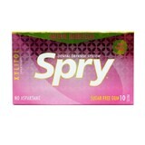 Gumă de mestecat cu bubble gum Spry, 10 bucăți, Xlear