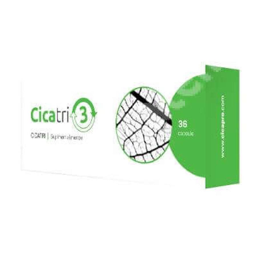 Cicatri 3, 36 capsule, Planta Pol