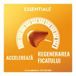 Essentiale Forte, 300 mg, 90 Kapseln, Sanofi