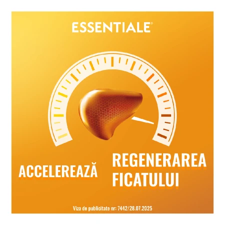 Essentiale Forte, 300 mg, 90 Kapseln, Sanofi