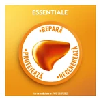 Essentiale Forte, 300 mg, 90 Kapseln, Sanofi