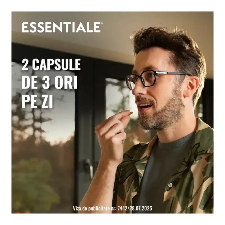 Essentiale Forte, 300 mg, 3x90 Kapseln, Sanofi