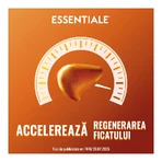 Essentiale MAX, 600 mg, 90 Kapseln, Sanofi
