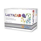 LactacaB 1, B6, B12, 5 plicuri, Hyllan