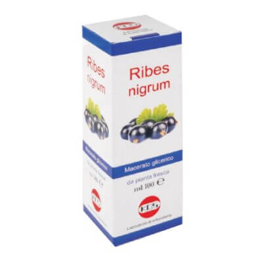 Macerado glicérico de Ribes nigrum 100 ml gotas